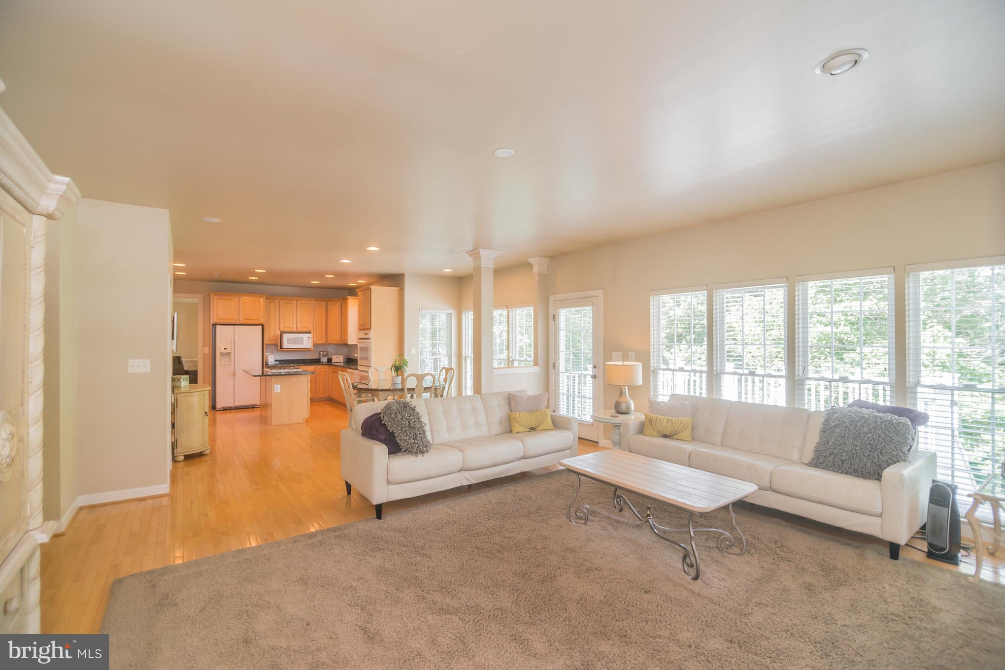 13942 Bromfield Road Germantown, MD 20874 - Photo 10 of 30 Family Room