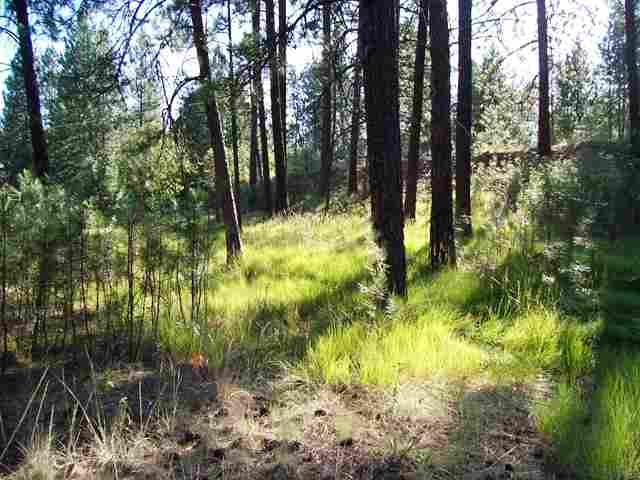 0 North Hilltop Road Colbert, WA 99005 - Photo 2 of 3