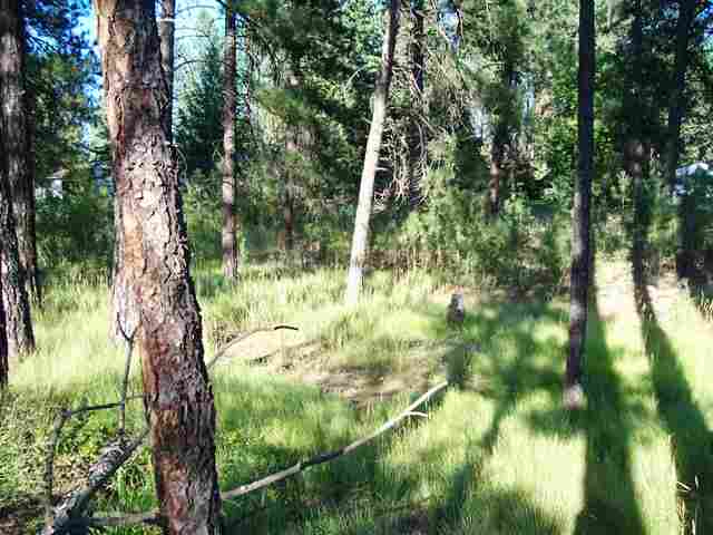 0 North Hilltop Road Colbert, WA 99005 - Photo 3 of 3