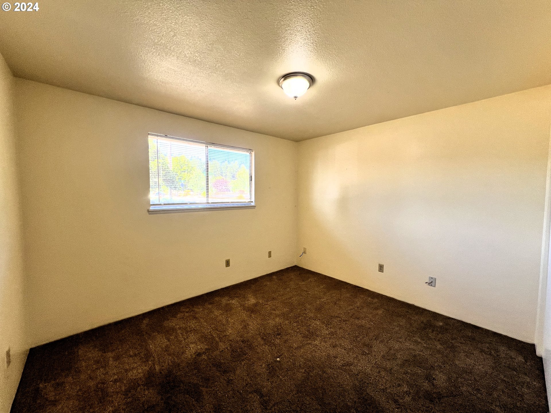 405 Azalea Park Road Brookings, OR 97415 - Photo 13 of 29 Gallery Image 13