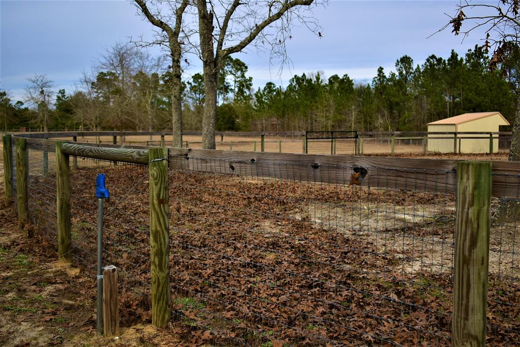 411 Cedar Road Windsor, SC 29856 - Photo 33 of 43