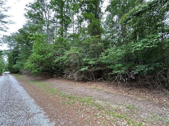 0 Firetower Road Mandeville, LA 70471 - Photo 3 of 3