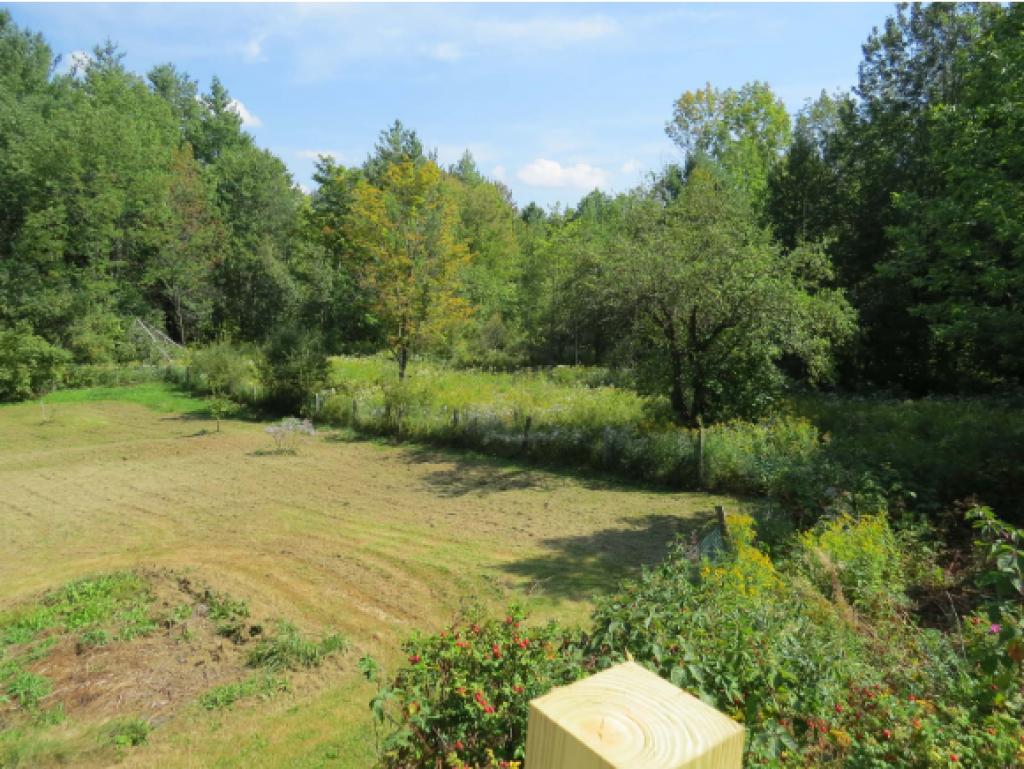 253 Blackwood Road Wallingford, VT 05742 - Photo 21 of 35 Gallery Image 21