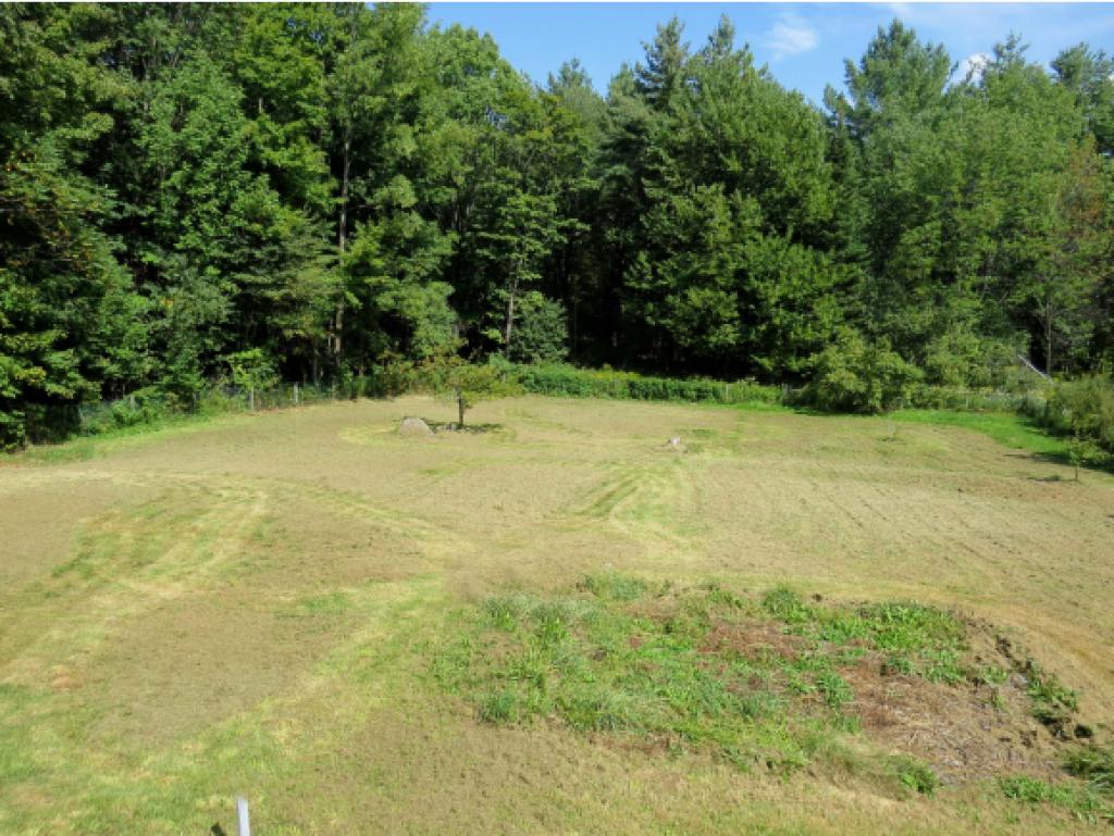 253 Blackwood Road Wallingford, VT 05742 - Photo 22 of 35 Gallery Image 22