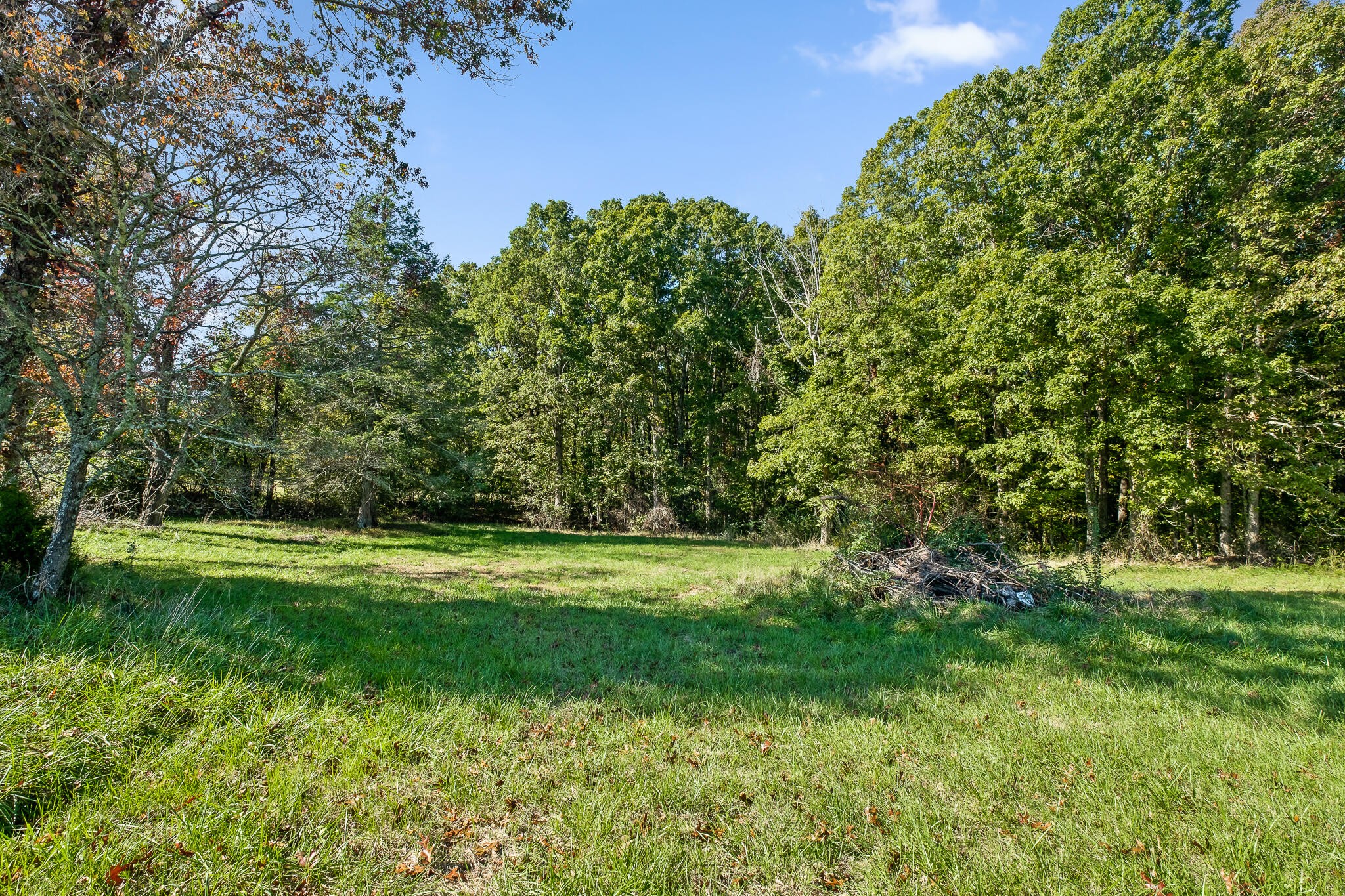 0 North Moore Road Rising Fawn, GA 30738 - Photo 14 of 30 Gallery Image 14