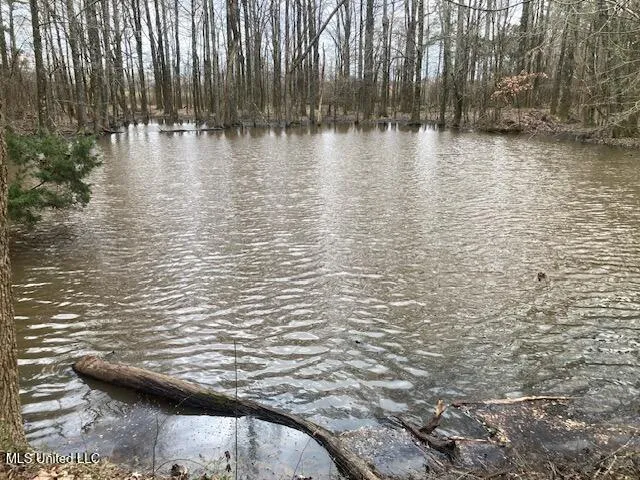 $239,000 | 309 Highway Holly Springs, Holly Springs, MS 38635