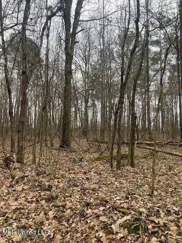 $239,000 | 309 Highway Holly Springs, Holly Springs, MS 38635