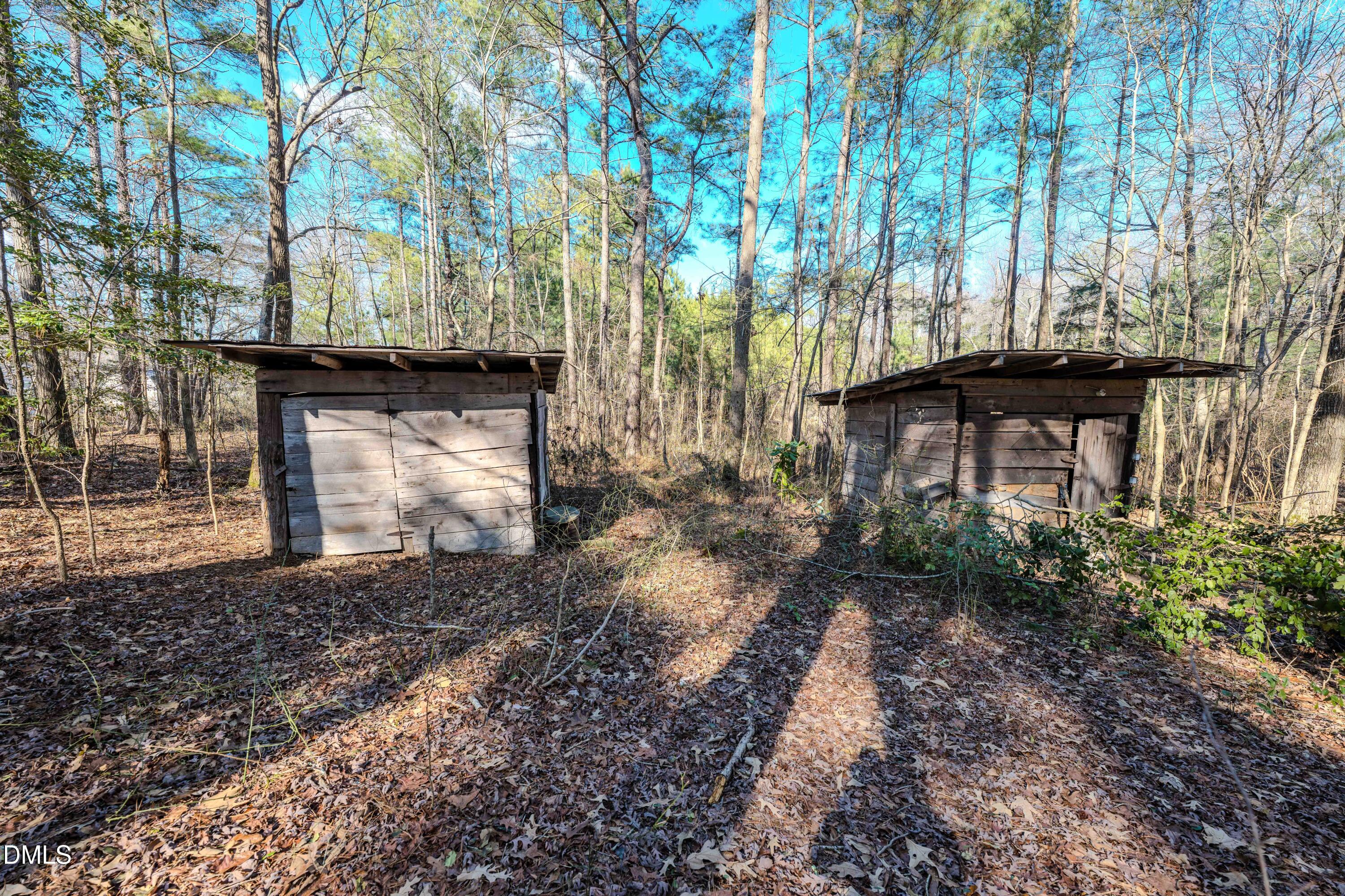 6724 Wimberly Road Willow Spring, NC 27592 - Photo 25 of 36 a backyard of a house with lots of green space
