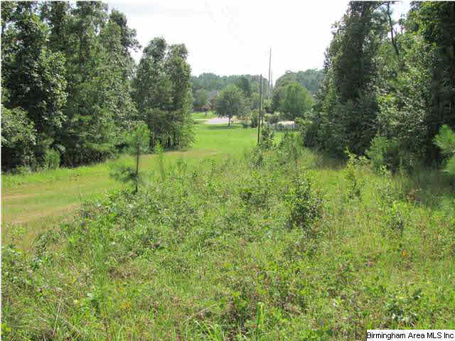 100 Cahaba Oaks Trail Pelham, AL 35124 - Photo 6 of 24