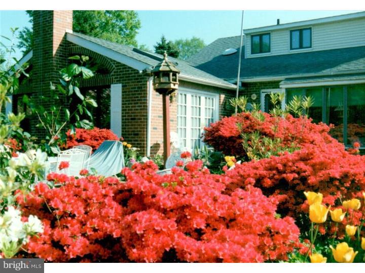 504 Hamilton Road Ambler, PA 19002 - Photo 7 of 9 Garden