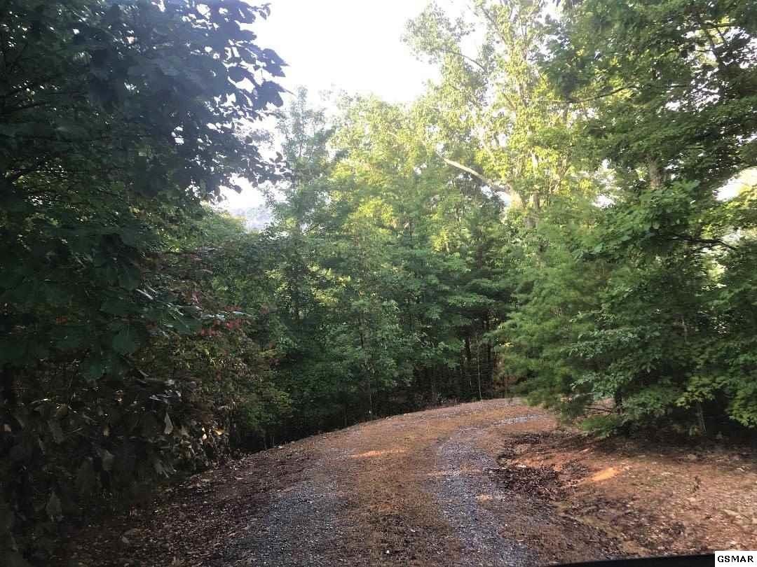 4845 Long Rifle Road Walland, TN 37886 - Photo 9 of 10 Gallery Image 9