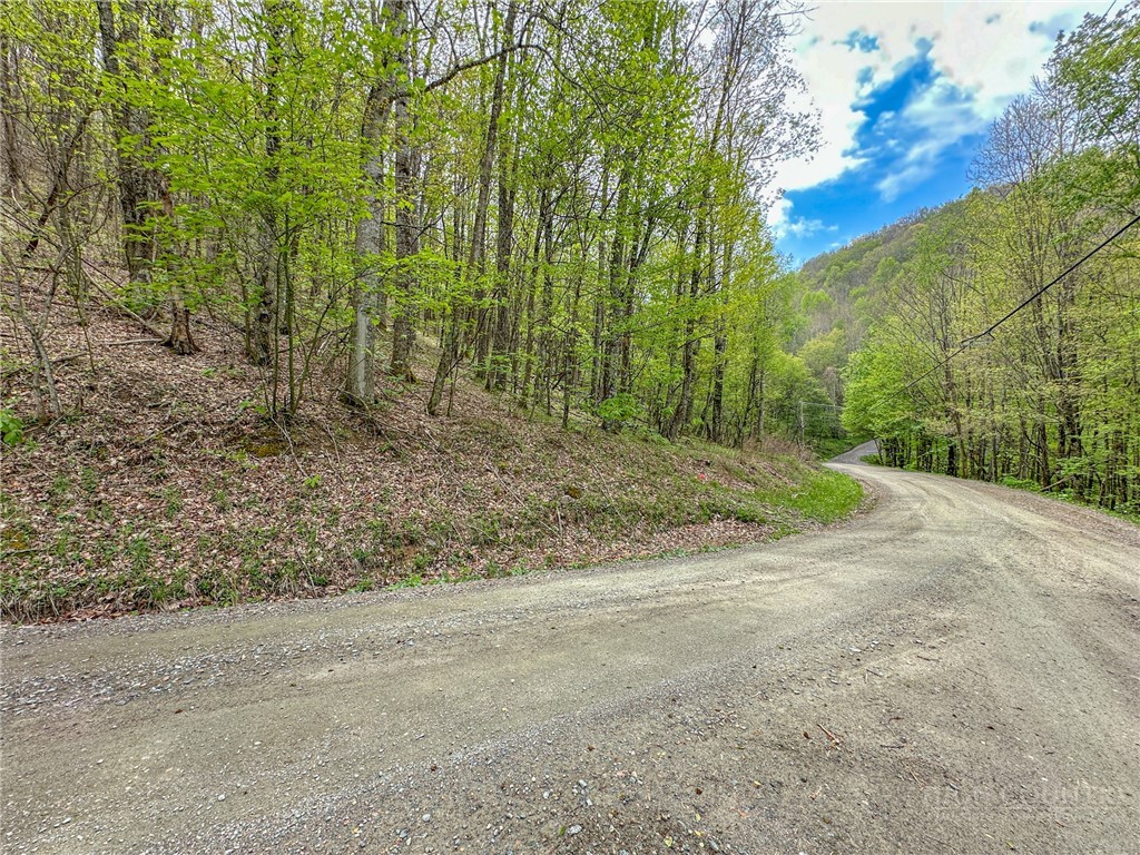Silverleaf Road Zionville, NC 28698 - Photo 13 of 25