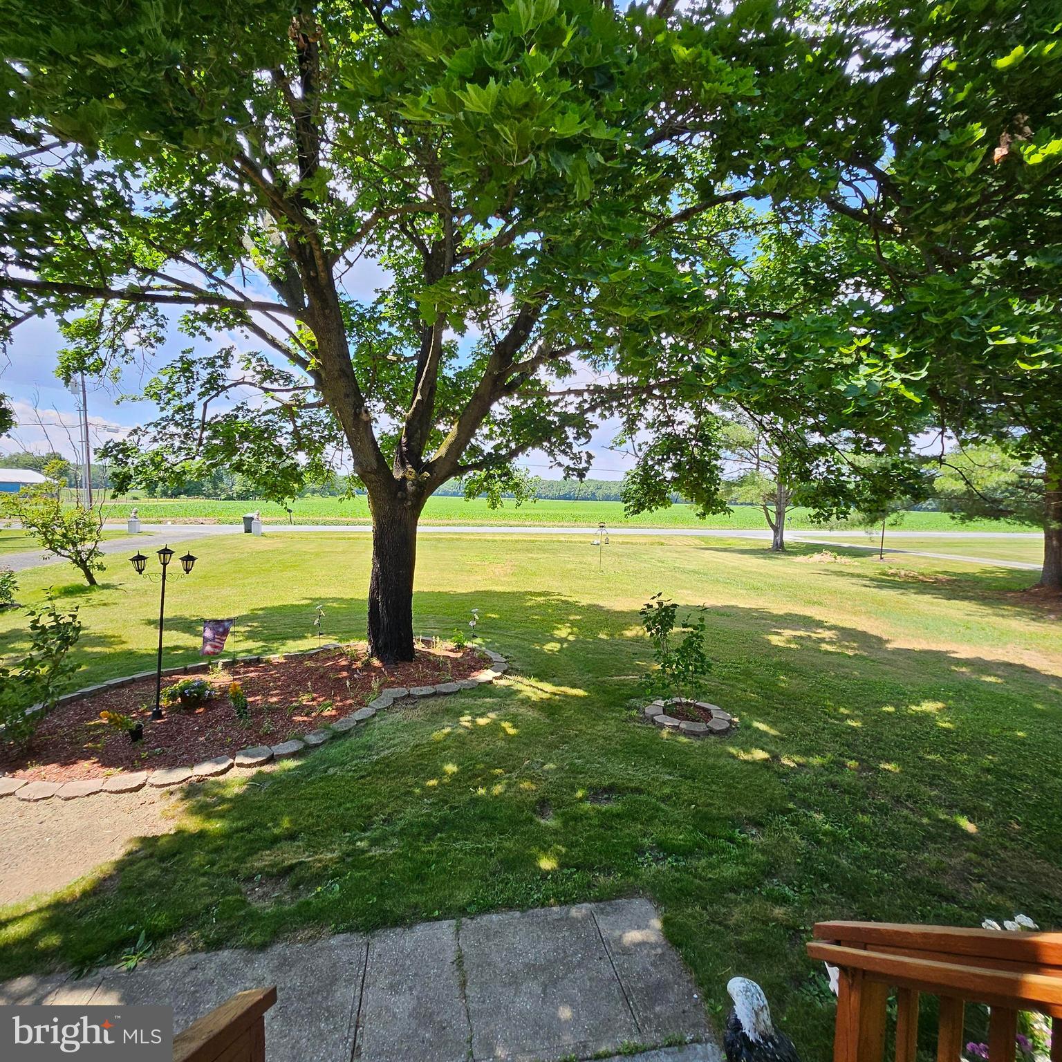 788 Holletts Corner Road Clayton, DE 19938 - Photo 7 of 20 From front door looking to front yard