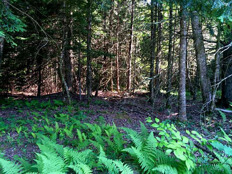 119 Bacon Road Unity, ME 04988 - Photo 11 of 15 Land.