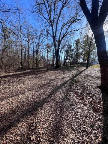 $23,000 | Tbd Quail Run, Mount Pleasant, TX 75455