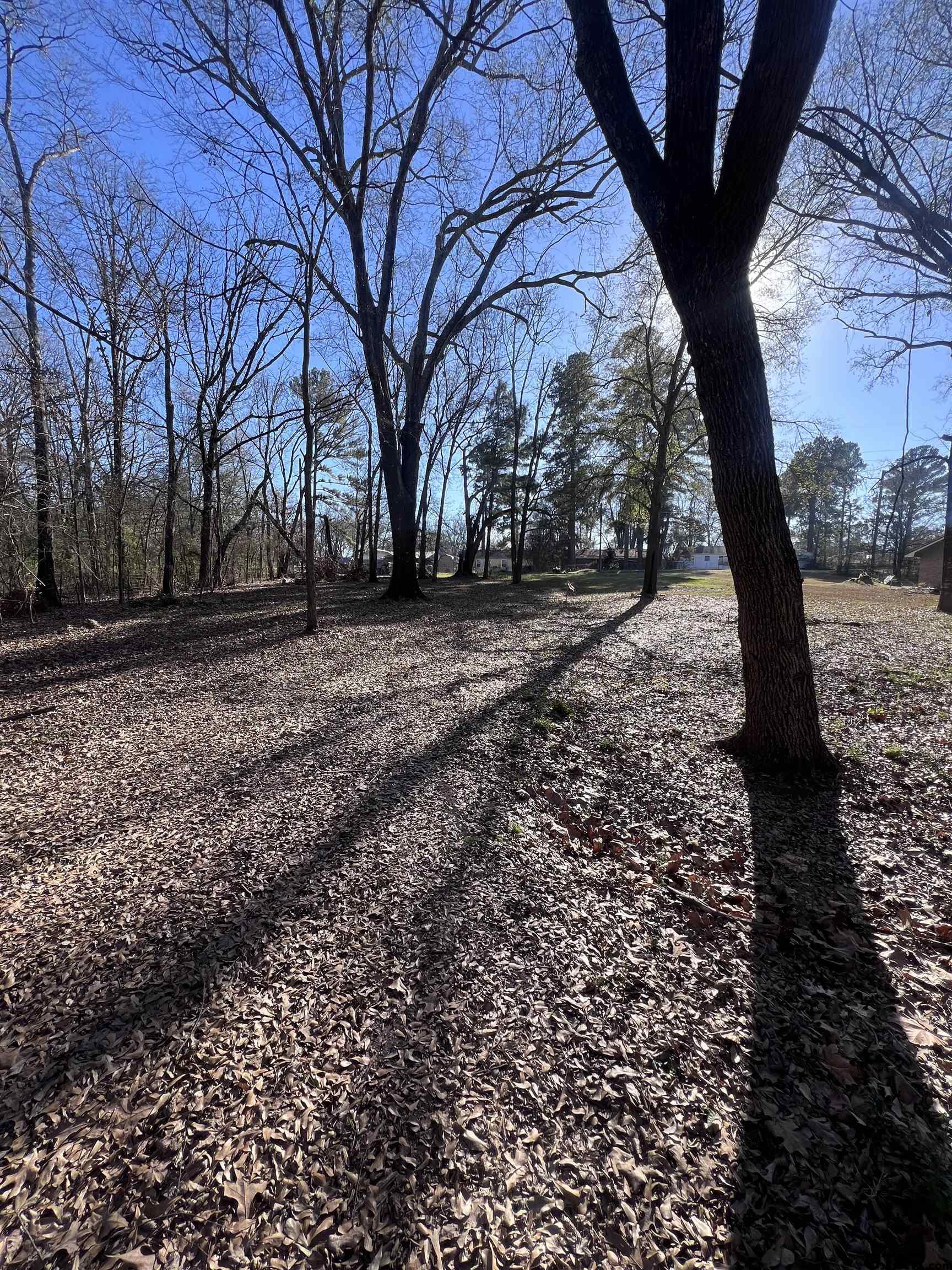 Tbd Quail Run Mount Pleasant, TX 75455 - Photo 2 of 6