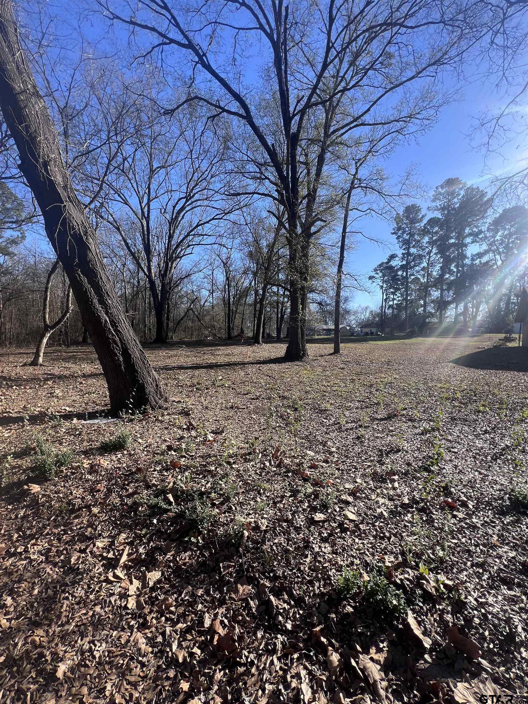 Tbd Quail Run Mount Pleasant, TX 75455 - Photo 4 of 6