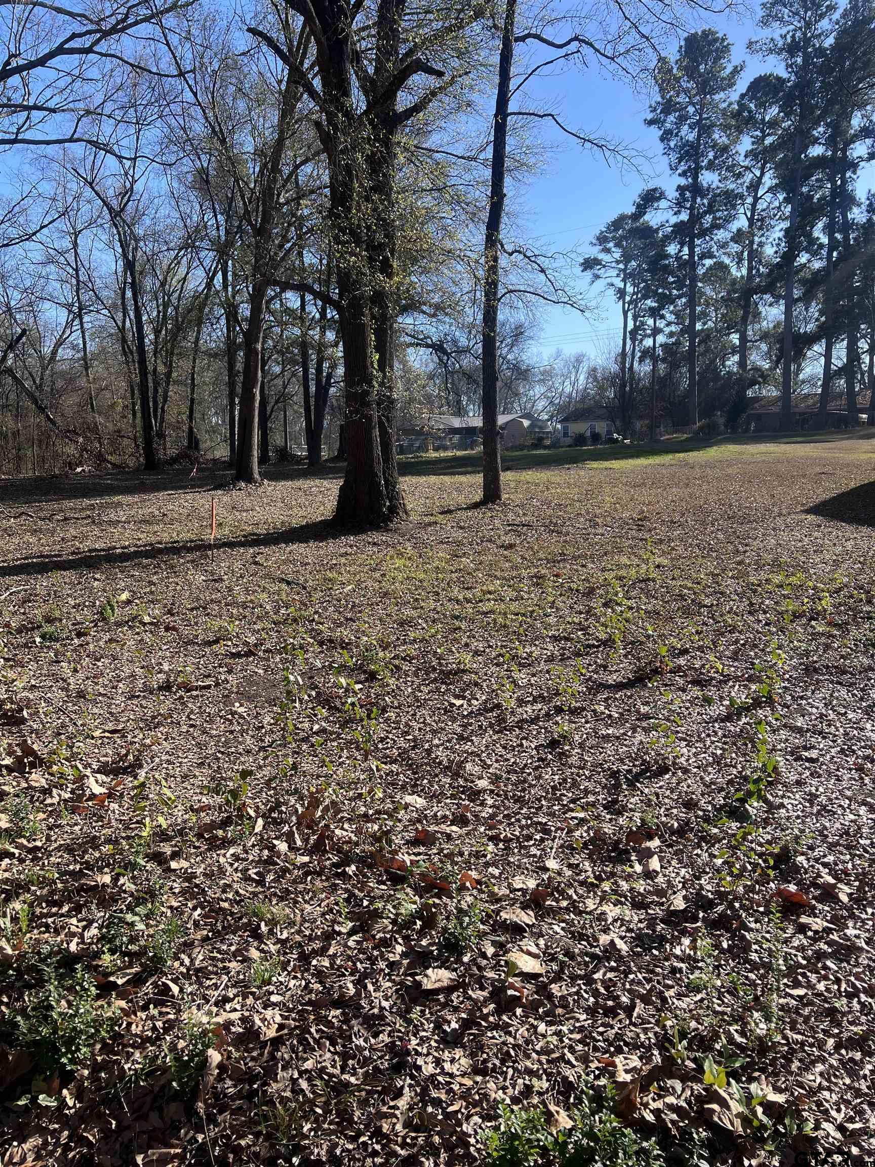 Tbd Quail Run Mount Pleasant, TX 75455 - Photo 5 of 6