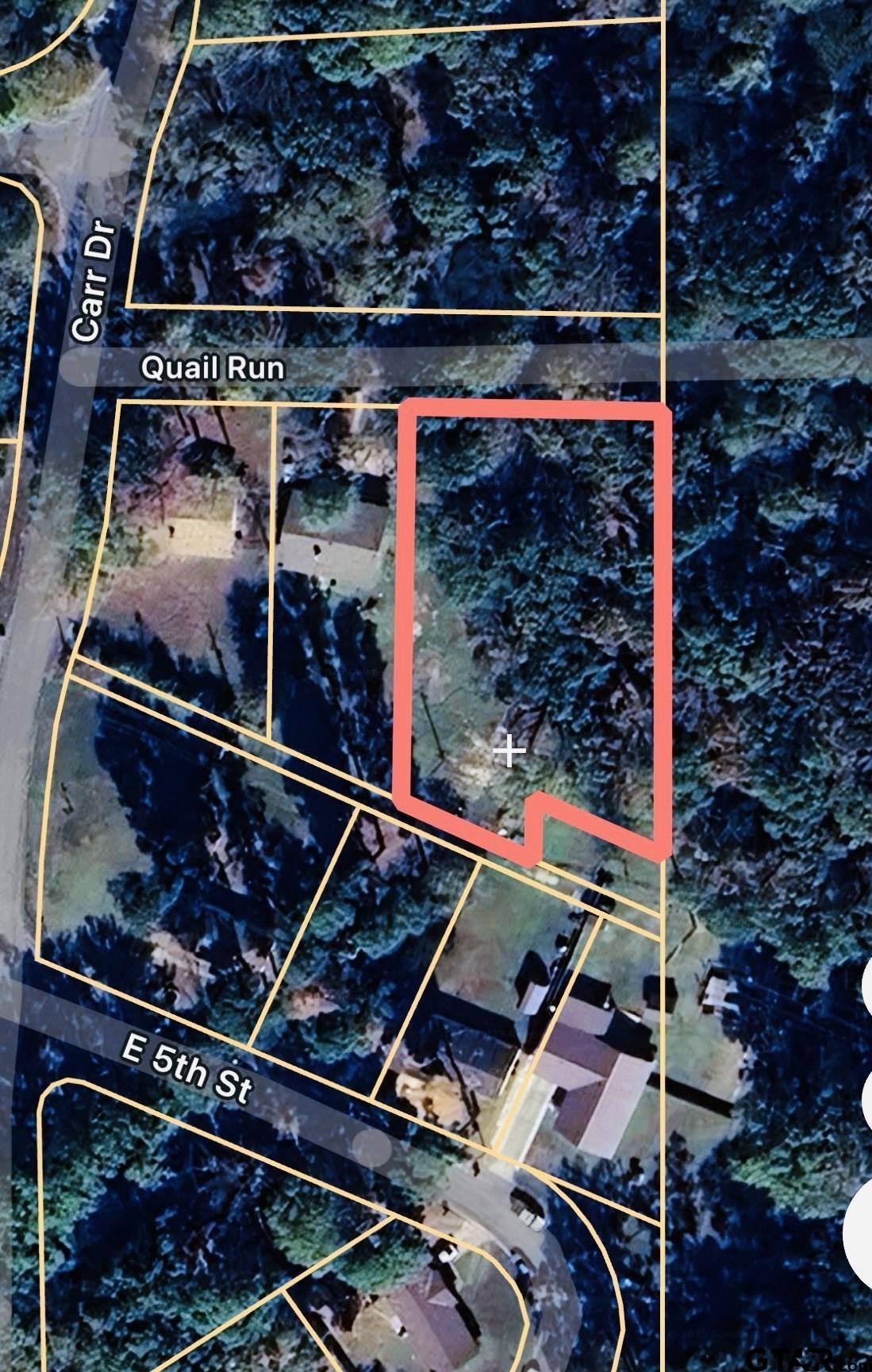 Tbd Quail Run Mount Pleasant, TX 75455 - Photo 6 of 6