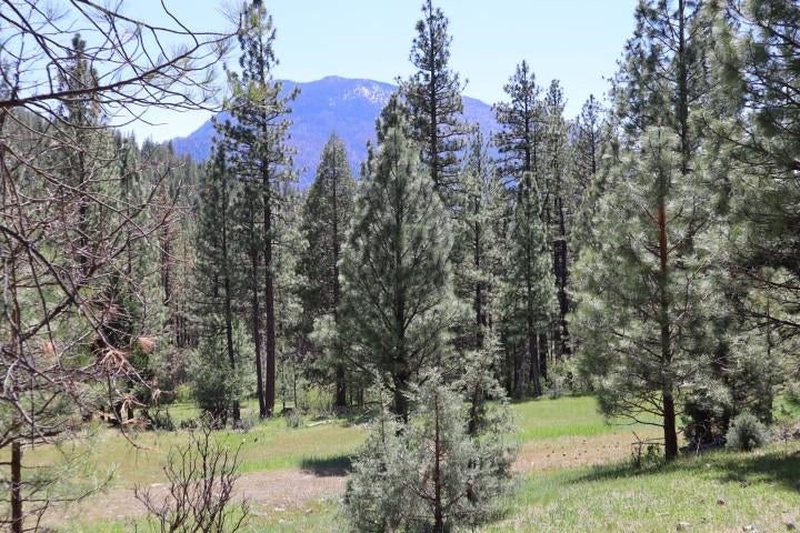 0 Masterson Road Gazelle, CA 96034 - Photo 24 of 26 Gallery Image 24