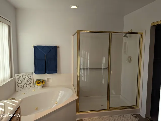a bathroom with a bathtub and a shower