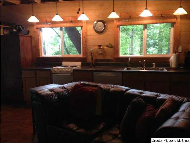 1416 Chandler Mountain Road Steele, AL 35987 - Photo 7 of 25