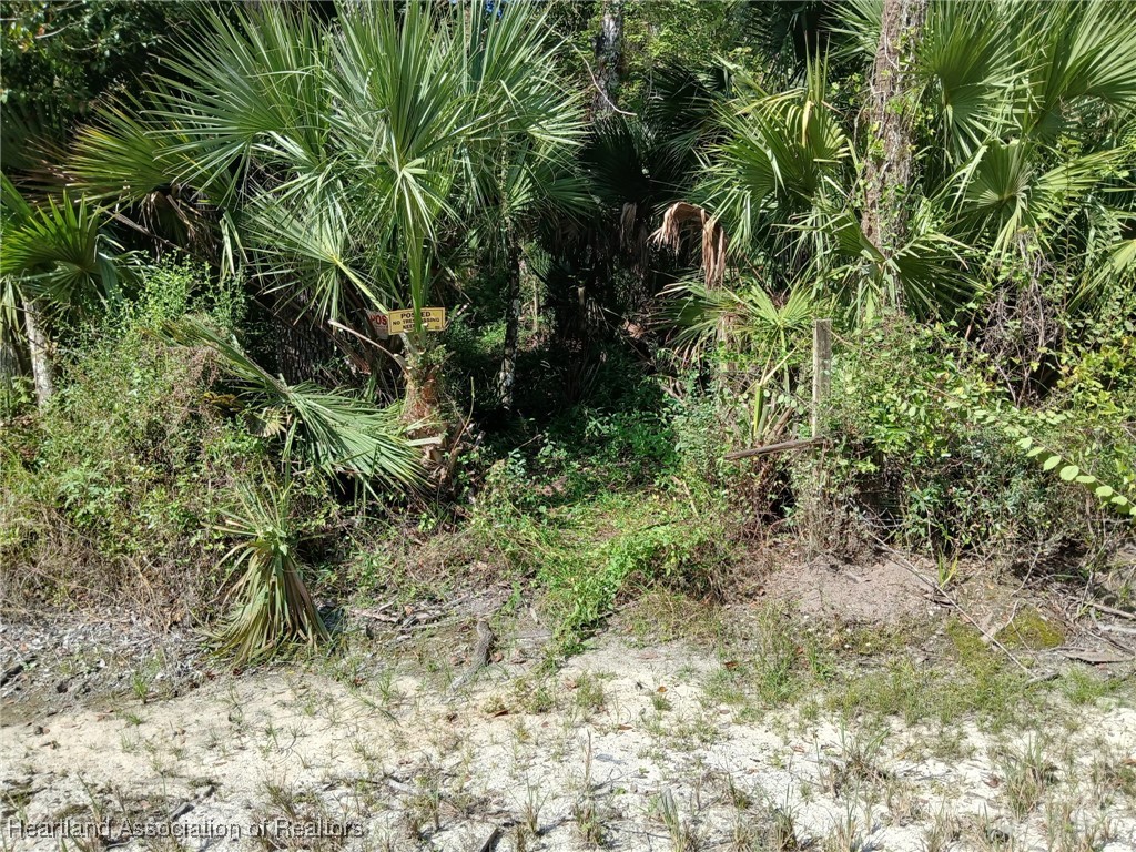 240 Sheppard Road Venus, FL 33960 - Photo 2 of 14 Gallery Image 2