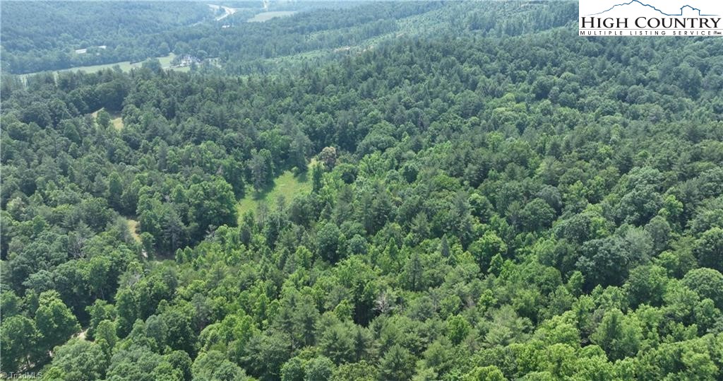 0 Siffords Branch Road Purlear, NC 28665 - Photo 1 of 19 Gallery Image 1