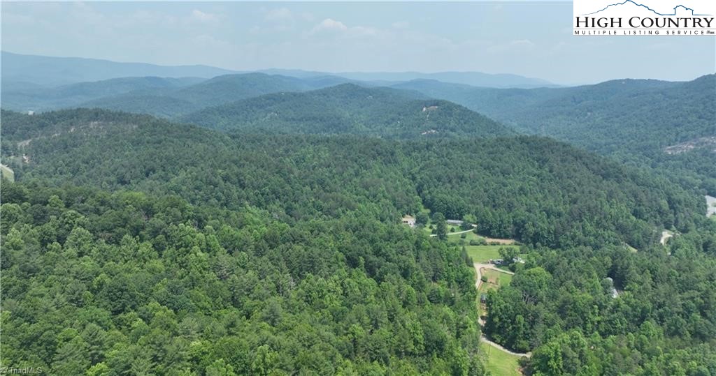 0 Siffords Branch Road Purlear, NC 28665 - Photo 11 of 19 Gallery Image 11
