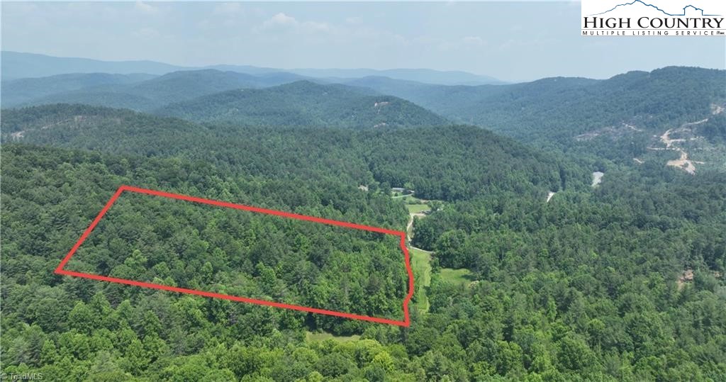 0 Siffords Branch Road Purlear, NC 28665 - Photo 12 of 19 Gallery Image 12