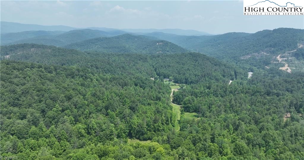 0 Siffords Branch Road Purlear, NC 28665 - Photo 13 of 19 Gallery Image 13