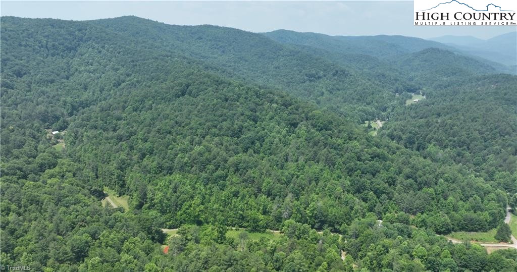 0 Siffords Branch Road Purlear, NC 28665 - Photo 14 of 19 Gallery Image 14