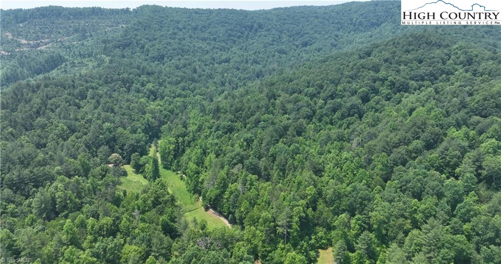 0 Siffords Branch Road Purlear, NC 28665 - Photo 15 of 19 Gallery Image 15