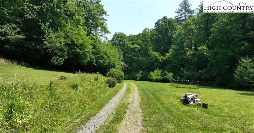 0 Siffords Branch Road Purlear, NC 28665 - Photo 16 of 19 Gallery Image 16
