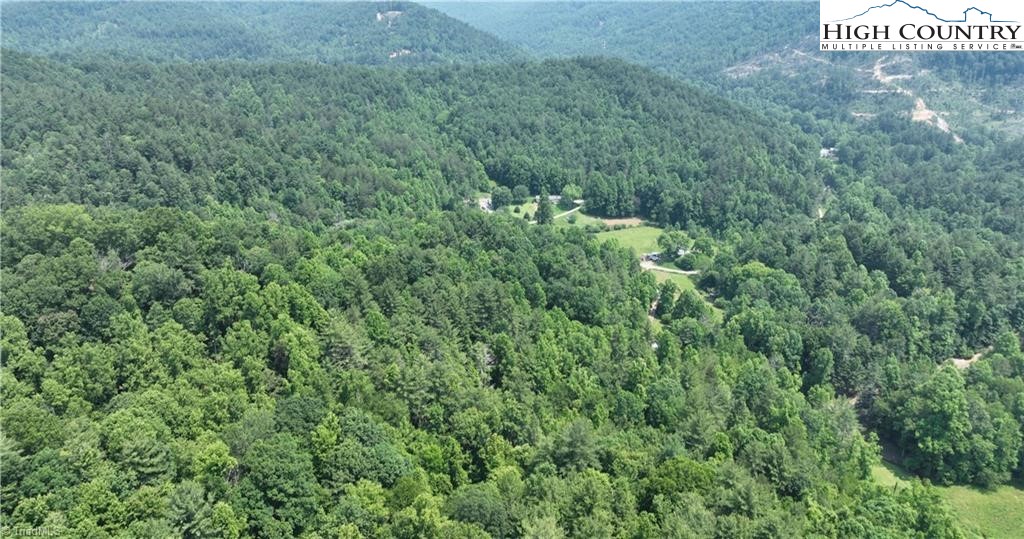 0 Siffords Branch Road Purlear, NC 28665 - Photo 3 of 19 Gallery Image 3
