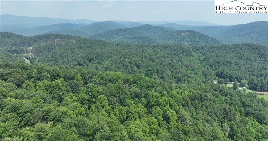0 Siffords Branch Road Purlear, NC 28665 - Photo 4 of 19 Gallery Image 4