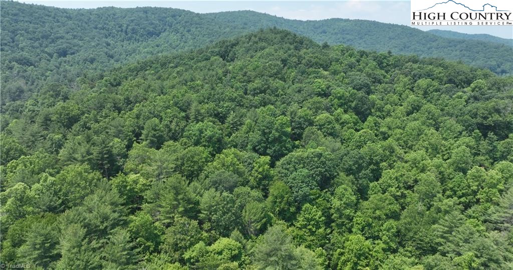 0 Siffords Branch Road Purlear, NC 28665 - Photo 5 of 19 Gallery Image 5