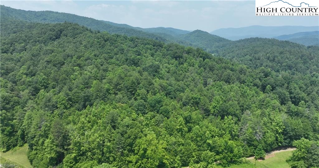 0 Siffords Branch Road Purlear, NC 28665 - Photo 6 of 19 Gallery Image 6