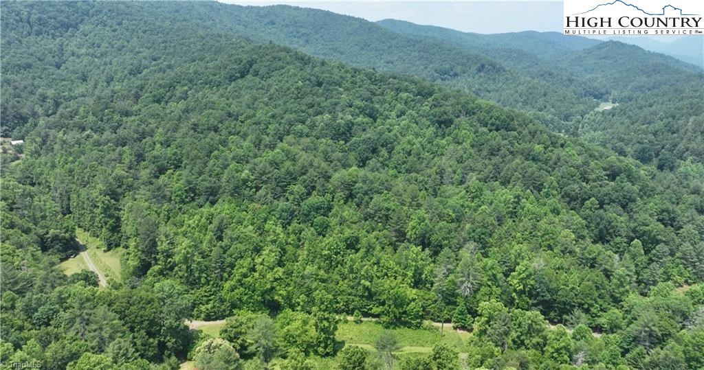 0 Siffords Branch Road Purlear, NC 28665 - Photo 7 of 19 Gallery Image 7