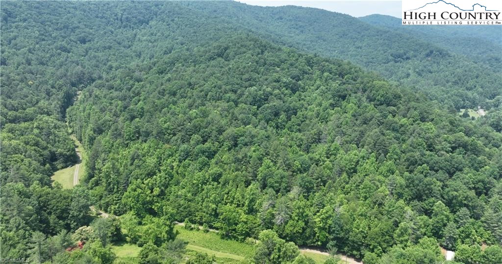 0 Siffords Branch Road Purlear, NC 28665 - Photo 8 of 19 Gallery Image 8