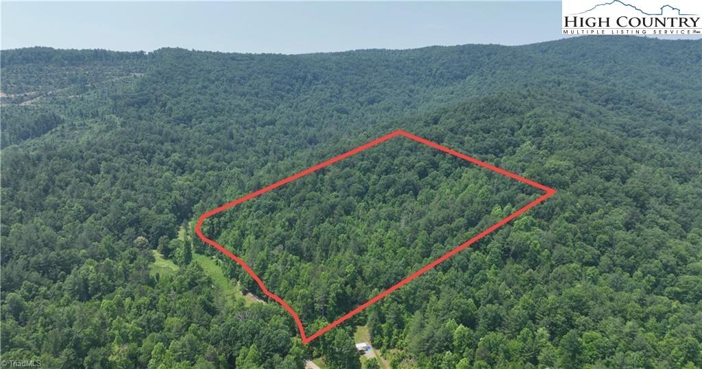 0 Siffords Branch Road Purlear, NC 28665 - Photo 9 of 19 Gallery Image 9