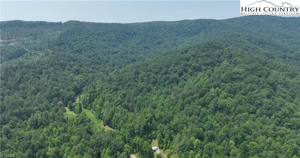 0 Siffords Branch Road Purlear, NC 28665 - Photo 10 of 19 Gallery Image 10