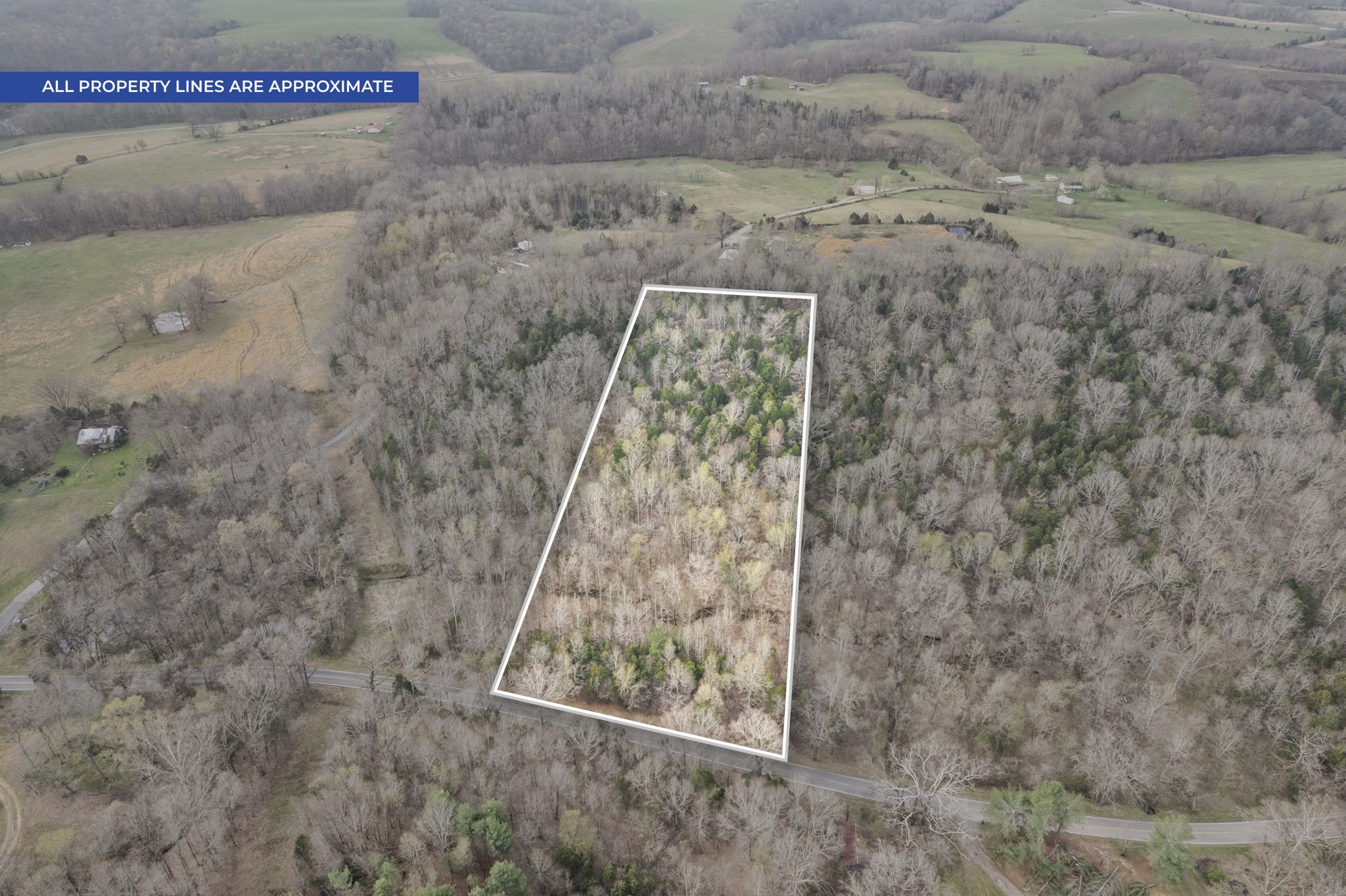 1630 Ryes Chapel Road Southside, TN 37171 - Photo 1 of 9 Gallery Image 1
