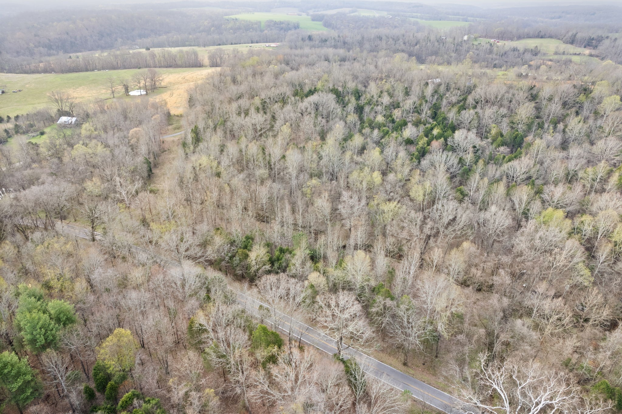 1630 Ryes Chapel Road Southside, TN 37171 - Photo 2 of 9 Gallery Image 2