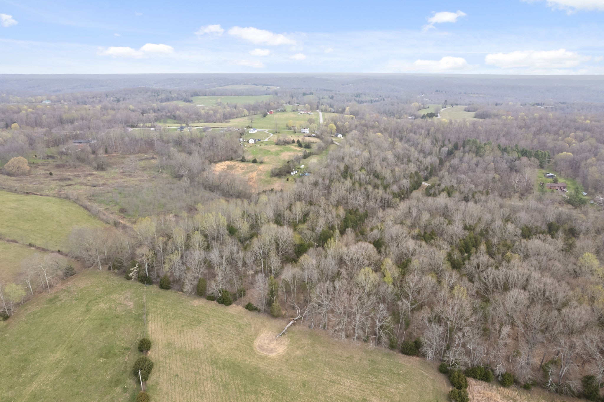 1630 Ryes Chapel Road Southside, TN 37171 - Photo 4 of 9 Gallery Image 4