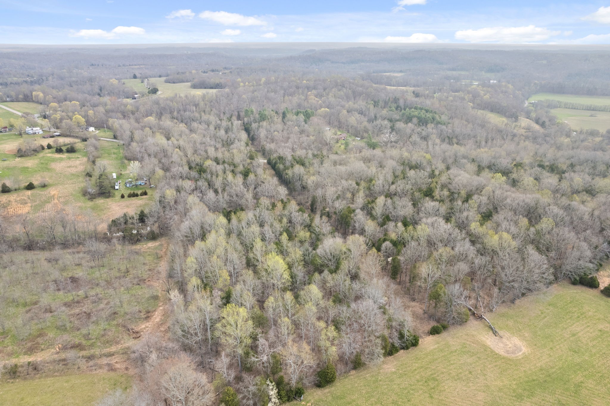 1630 Ryes Chapel Road Southside, TN 37171 - Photo 6 of 9 Gallery Image 6