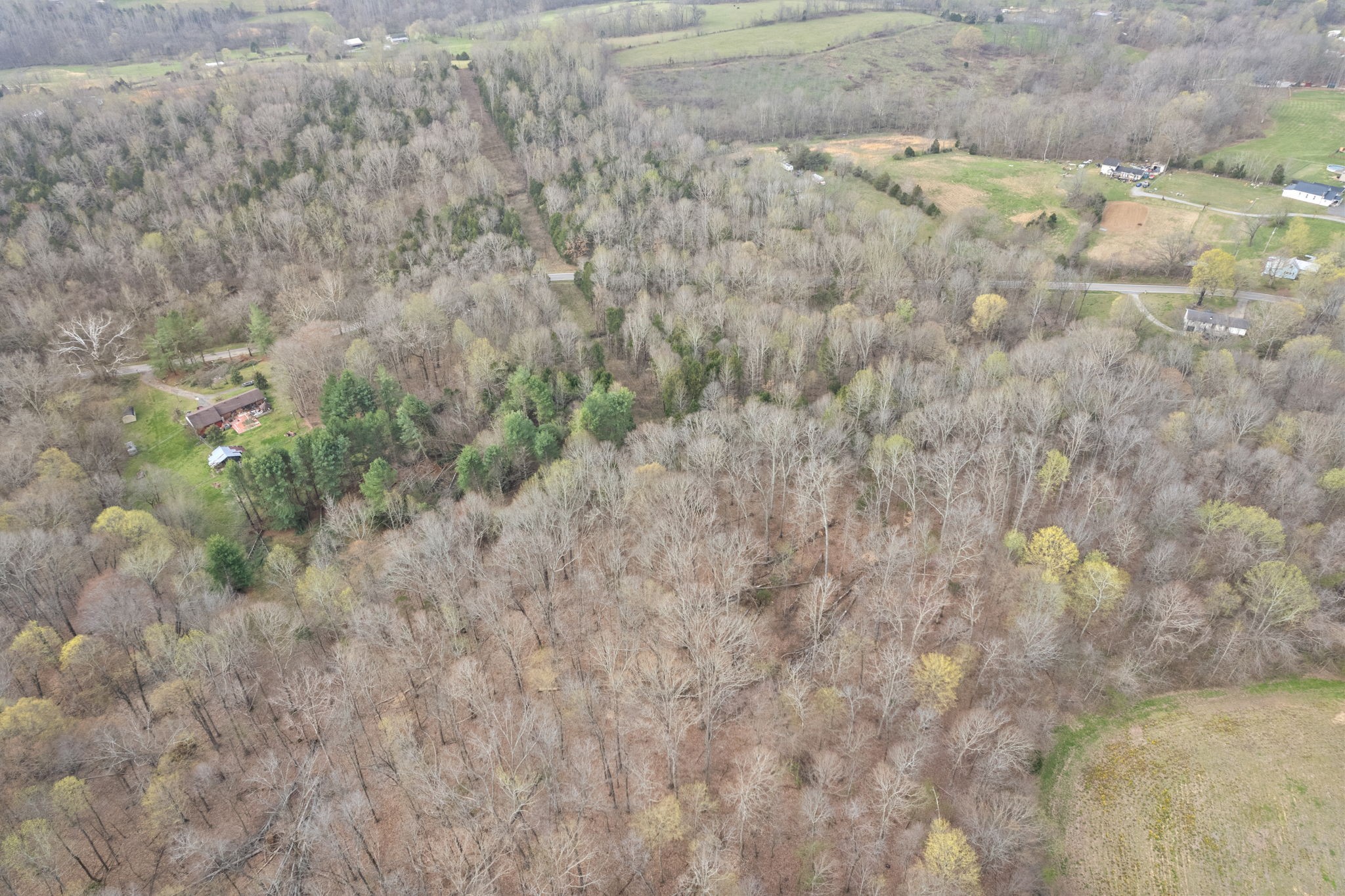 1630 Ryes Chapel Road Southside, TN 37171 - Photo 8 of 9 Gallery Image 8