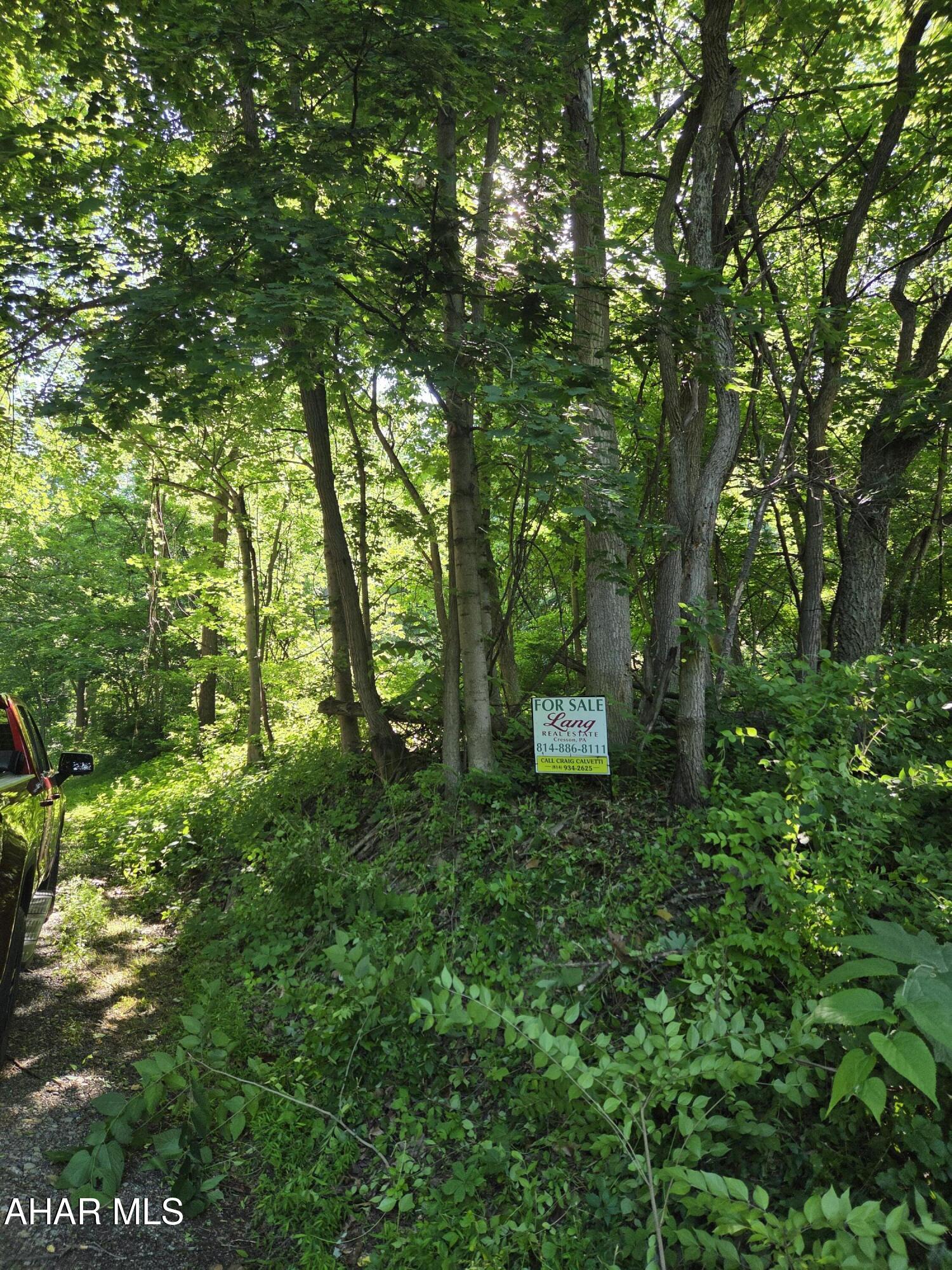 0 Sugar Ridge Road McVeytown, PA 17051 - Photo 4 of 19
