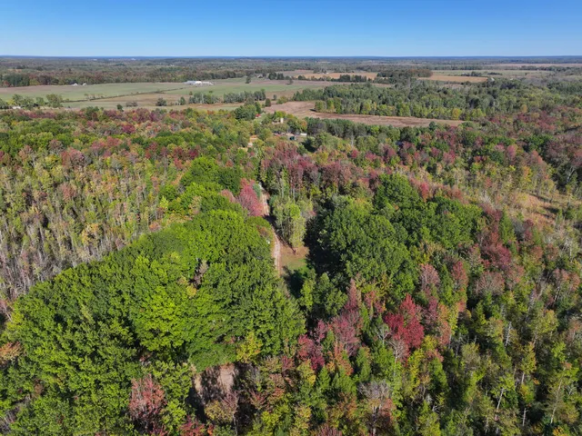 $879,000 | 2697 North 176th Avenue, Walkerville, MI 49459