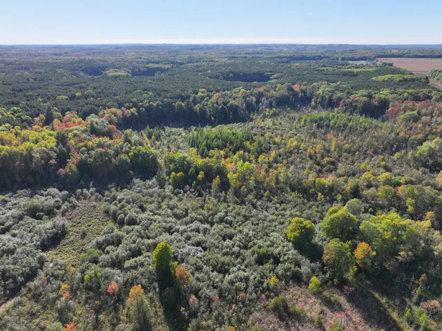 $879,000 | 2697 North 176th Avenue, Walkerville, MI 49459